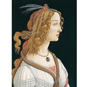 Fine Art Prints Botticelli Idealized Portrait Of A Lady As Nymph Unframed Wall Art Print Poster Home Decor Premium Fine Art Prints Botticelli Idealized Portrait Of A Lady As Nymph Unframed Wall Art Print Poster Home Decor Premium