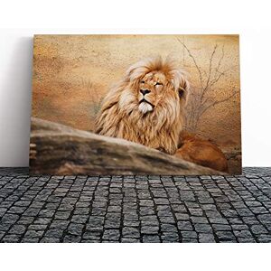 Big Box Art Lion (3) Canvas Print Gallery Wrapped 30mm Frame Wall Art 24x16 inches Ready to Hang Modern Animals Picture Living Room Bedroom Lounge Office Big Box Art Lion (3) Canvas Print Gallery Wrapped 30mm Frame Wall Art 24x16 inches Ready to Hang Modern Animals Picture Living Room Bedroom Lounge Office