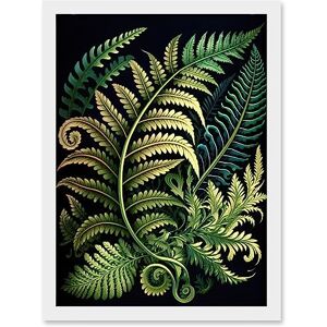 Artery8 Ernst Haeckel Style Fern Fronds Leaf Illustration Artwork Framed Wall Art Print A4 Artery8 Ernst Haeckel Style Fern Fronds Leaf Illustration Artwork Framed Wall Art Print A4