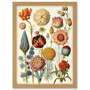 Artery8 Vintage Botanical Illustration Ernst Haeckel Style Plant Study Modern Watercolour Painting Artwork Framed A3 Wall Art Print Artery8 Vintage Botanical Illustration Ernst Haeckel Style Plant Study Modern Watercolour Painting Artwork Framed A3 Wall Art Print