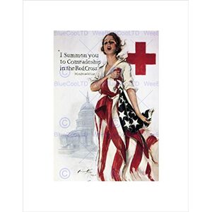 Wee Blue Coo Charity Red Cross Stars Stripes Woodrow Wilson Vintage Ad Art Wall Art Print Wee Blue Coo Charity Red Cross Stars Stripes Woodrow Wilson Vintage Ad Art Wall Art Print