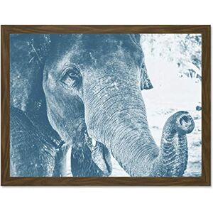 Fine Art Prints Chambon Elephant Close-up Trunk Blue Large Framed Art Print Poster Wall Decor 18x24 inch Fine Art Prints Chambon Elephant Close-up Trunk Blue Large Framed Art Print Poster Wall Decor 18x24 inch