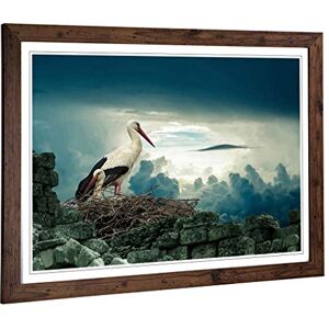 Big Box Art Framed Print of Stork Birds Nest Design Wall Art Picture Home Decor for Kitchen, Living, Dining Room, Lounge, Bedroom, Hallway, Office, Walnut, A2 / 24.5x18 Inch / 62x45cm Big Box Art Framed Print of Stork Birds Nest Design Wall Art Picture Home Decor for Kitchen, Living, Dining Room, Lounge, Bedroom, Hallway, Office, Walnut, A2 / 24.5x18 Inch / 62x45cm