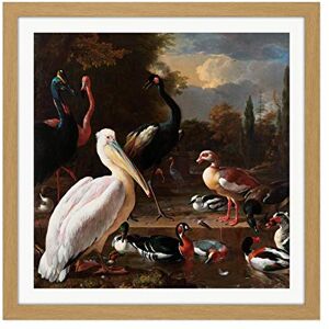 Artery8 Hondecoeter Pelican Birds Pool Floating Feather Square Wooden Framed Wall Art Print Picture 16X16 Inch Artery8 Hondecoeter Pelican Birds Pool Floating Feather Square Wooden Framed Wall Art Print Picture 16X16 Inch