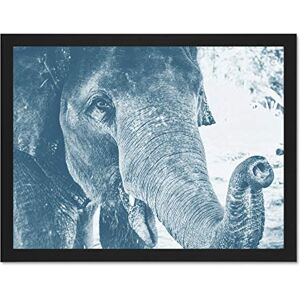 Fine Art Prints Chambon Elephant Close-up Trunk Blue Large Framed Art Print Poster Wall Decor 18x24 inch Fine Art Prints Chambon Elephant Close-up Trunk Blue Large Framed Art Print Poster Wall Decor 18x24 inch