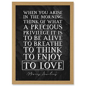 Artery8 - Marcus Aurelius Quote - Slate - Framed - Framed Art Artery8 - Marcus Aurelius Quote - Slate - Framed - Framed Art