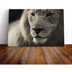 Big Box Art Lion Vol.2 Canvas Print Gallery Wrapped 30mm Frame Wall Art 24x16 inches Ready to Hang Modern Animals Picture Living Room Bedroom Lounge Office Big Box Art Lion Vol.2 Canvas Print Gallery Wrapped 30mm Frame Wall Art 24x16 inches Ready to Hang Modern Animals Picture Living Room Bedroom Lounge Office