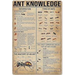 Zzjniupiyyds Ant Knowledge Metal Tin Sign Types Of Ants Retro Poster School Education Living Room Kitchen Bathroom Home Art Wall Decoration Plaque Gift Zzjniupiyyds Ant Knowledge Metal Tin Sign Types Of Ants Retro Poster School Education Living Room Kitchen Bathroom Home Art Wall Decoration Plaque Gift