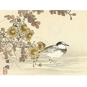 Artery8 Kono Bairei Wagtail Bird Flowers Japanese Woodblock Unframed Wall Art Print Poster Home Decor Premium Artery8 Kono Bairei Wagtail Bird Flowers Japanese Woodblock Unframed Wall Art Print Poster Home Decor Premium