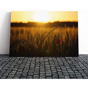 Big Box Art Canvas Print Wall Art Flower Poppy Field (3) Mounted and Stretched Box Frame Picture Home Decor for Kitchen, Living, Dining Room, Bedroom, Hallway, Multi-Colour, 20x14 Inch Big Box Art Canvas Print Wall Art Flower Poppy Field (3) Mounted and Stretched Box Frame Picture Home Decor for Kitchen, Living, Dining Room, Bedroom, Hallway, Multi-Colour, 20x14 Inch