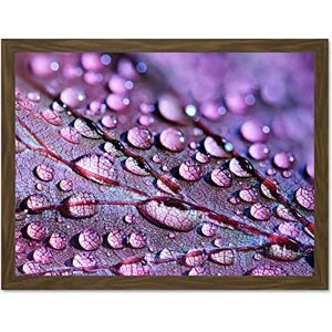 Fine Art Prints Water Droplets Leaf Macro Large Framed Art Print Poster Wall Decor 18x24 inch Fine Art Prints Water Droplets Leaf Macro Large Framed Art Print Poster Wall Decor 18x24 inch