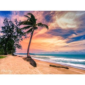 Artery8 Najm Phuket Thailand Tropical Palm Tree Beach Photo Unframed Wall Art Print Poster Home Decor Premium Artery8 Najm Phuket Thailand Tropical Palm Tree Beach Photo Unframed Wall Art Print Poster Home Decor Premium