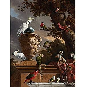 Artery8 Hondecoeter Menagerie Exotic Birds Parrots Painting Art Print Canvas Premium Wall Decor Poster Mural Artery8 Hondecoeter Menagerie Exotic Birds Parrots Painting Art Print Canvas Premium Wall Decor Poster Mural