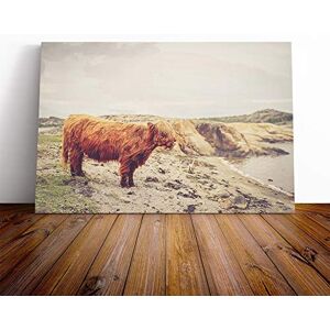 Big Box Art Highland Cow Landscape Canvas Print Gallery Wrapped 30mm Frame Wall Art 20x14 inches Ready to Hang Modern Animals Picture Living Room Bedroom Lounge Office Big Box Art Highland Cow Landscape Canvas Print Gallery Wrapped 30mm Frame Wall Art 20x14 inches Ready to Hang Modern Animals Picture Living Room Bedroom Lounge Office