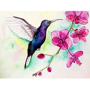 Wee Blue Coo Hummingbird And Orchid Unframed Art Print Poster Wall Decor 12x16 inch Wee Blue Coo Hummingbird And Orchid Unframed Art Print Poster Wall Decor 12x16 inch