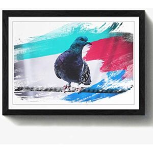 Arty Pie Framed Print Black A2 (24.5x18 Inch) Pigeon Bird V2, Wood, Multi-Colour, 60 x 42 x 2 cm Arty Pie Framed Print Black A2 (24.5x18 Inch) Pigeon Bird V2, Wood, Multi-Colour, 60 x 42 x 2 cm