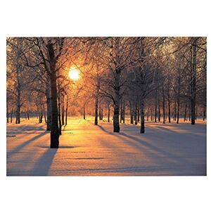 Wee Blue Coo Photo Landscape Shining Sun Birches Snow Winter Wall Art Print Wee Blue Coo Photo Landscape Shining Sun Birches Snow Winter Wall Art Print