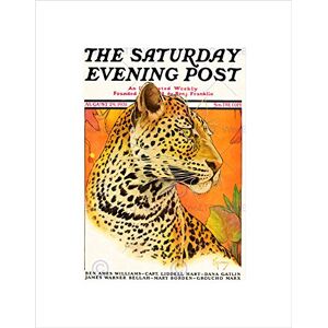 Wee Blue Coo Magazine Cover Leopard Big Cat Spots USAS Wall Art Print Wee Blue Coo Magazine Cover Leopard Big Cat Spots USAS Wall Art Print