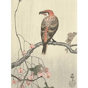 Artery8 Ohara Koson Crossbill On Tree Branch Japanese Large Wall Art Poster Print Thick Paper 18X24 Inch Artery8 Ohara Koson Crossbill On Tree Branch Japanese Large Wall Art Poster Print Thick Paper 18X24 Inch