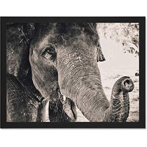 Fine Art Prints Chambon Elephant Close-up Trunk Large Framed Art Print Poster Wall Decor 18x24 inch Fine Art Prints Chambon Elephant Close-up Trunk Large Framed Art Print Poster Wall Decor 18x24 inch