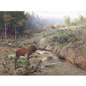 Fine Art Prints Kroner Herd Red Deer Forest Glade Stag Painting Large Print Poster Wall Art Decor Picture Fine Art Prints Kroner Herd Red Deer Forest Glade Stag Painting Large Print Poster Wall Art Decor Picture