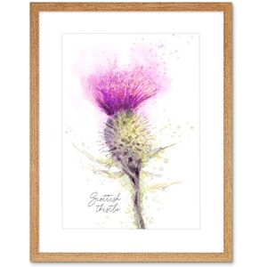 Wee Blue Coo Scottish Thistle Flower Head Watercolour Scotland Framed Art Print Wee Blue Coo Scottish Thistle Flower Head Watercolour Scotland Framed Art Print
