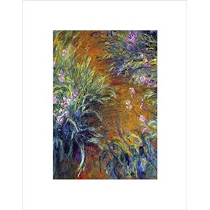 Wee Blue Coo Claude Monet Irises Old Master Art Picture Wall Art Print Wee Blue Coo Claude Monet Irises Old Master Art Picture Wall Art Print