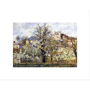 Wee Blue Coo Painting Landscape Pissarro Pontoise Orchard Tree Wall Art Print Wee Blue Coo Painting Landscape Pissarro Pontoise Orchard Tree Wall Art Print