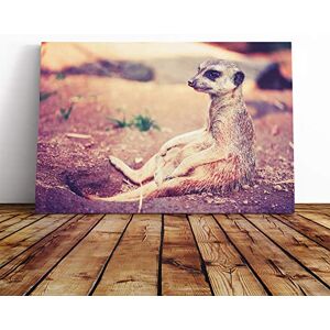 Big Box Art Canvas Print Wall Art Meerkat 3 Mounted and Stretched Box Frame Picture Home Decor for Kitchen, Living, Dining Room, Bedroom, Hallway, Multi-Colour, 30x20 Inch Big Box Art Canvas Print Wall Art Meerkat 3 Mounted and Stretched Box Frame Picture Home Decor for Kitchen, Living, Dining Room, Bedroom, Hallway, Multi-Colour, 30x20 Inch
