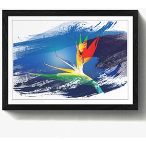 Arty Pie Framed Print Black A2 (24.5x18 Inch) Flower Caudata Bird of Paradise V2, Wood, Multi-Colour, 60 x 42 x 2 cm Arty Pie Framed Print Black A2 (24.5x18 Inch) Flower Caudata Bird of Paradise V2, Wood, Multi-Colour, 60 x 42 x 2 cm