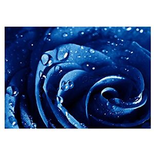 Wee Blue Coo Photo Nature Plant Blue Rose Water Drop Cool Wall Art Print Wee Blue Coo Photo Nature Plant Blue Rose Water Drop Cool Wall Art Print