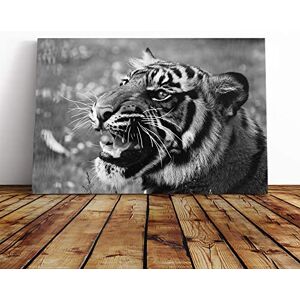 Big Box Art Tiger Vol.4 Canvas Print Gallery Wrapped 30mm Frame Wall Art 30x20 inches Ready to Hang Modern Animals Picture Living Room Bedroom Lounge Office Big Box Art Tiger Vol.4 Canvas Print Gallery Wrapped 30mm Frame Wall Art 30x20 inches Ready to Hang Modern Animals Picture Living Room Bedroom Lounge Office