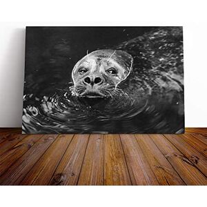 Big Box Art Sea Lion 24x16 inch - Canvas Print Big Box Art Sea Lion 24x16 inch - Canvas Print