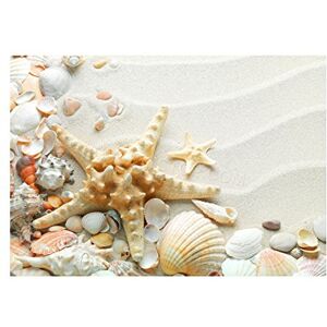 Wee Blue Coo Photo Sand Starfish Seashells Beach Summer Wall Art Print Wee Blue Coo Photo Sand Starfish Seashells Beach Summer Wall Art Print