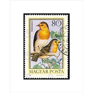 Wee Blue Coo POSTAGE STAMP HUNGARY 80 FORINT ROBIN BIRD NEW FRAMED ART PRINT MOUNT B12X11044 Wee Blue Coo POSTAGE STAMP HUNGARY 80 FORINT ROBIN BIRD NEW FRAMED ART PRINT MOUNT B12X11044