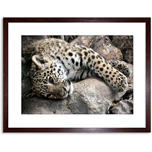 Wee Blue Coo Photo Nature Animal Sleepy Jaguar Big Cat Framed Wall Art Print Wee Blue Coo Photo Nature Animal Sleepy Jaguar Big Cat Framed Wall Art Print