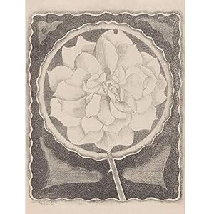 Artery8 Samuel Jessurun De Mesquita Rose Unframed Wall Art Print Poster Home Decor Premium Artery8 Samuel Jessurun De Mesquita Rose Unframed Wall Art Print Poster Home Decor Premium