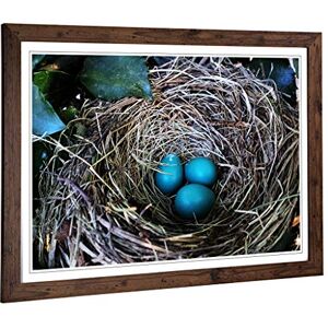 Big Box Art Framed Print of Birds Nest Duck Egg Blue Design Wall Art Picture Home Decor for Kitchen, Living, Dining Room, Bedroom, Hallway, Office, Walnut, A2 / 24.5x18 Inch / 62x45cm Big Box Art Framed Print of Birds Nest Duck Egg Blue Design Wall Art Picture Home Decor for Kitchen, Living, Dining Room, Bedroom, Hallway, Office, Walnut, A2 / 24.5x18 Inch / 62x45cm