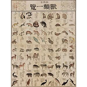 Artery8 Kato Chikusai Species of Animals Japanese Large Wall Art Poster Print Thick Paper 18X24 Inch Artery8 Kato Chikusai Species of Animals Japanese Large Wall Art Poster Print Thick Paper 18X24 Inch