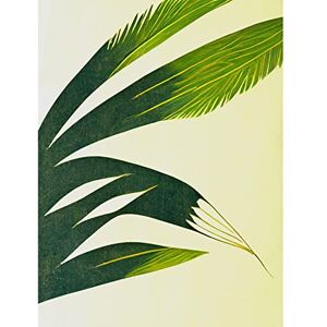 Doppelganger33 LTD Modern Abstract Fan Palm Tree Leaf Illustration Large Wall Art Poster Print Thick Paper 18X24 Inch Doppelganger33 LTD Modern Abstract Fan Palm Tree Leaf Illustration Large Wall Art Poster Print Thick Paper 18X24 Inch