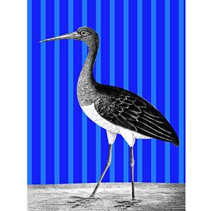 Wee Blue Coo Tall Birds On Stripes Black Stork Blue Large Wall Art Poster Print Thick Paper 18X24 Inch Wee Blue Coo Tall Birds On Stripes Black Stork Blue Large Wall Art Poster Print Thick Paper 18X24 Inch