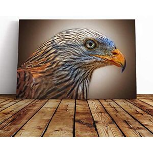 Big Box Art Red Kite Bird Canvas Print Gallery Wrapped 30mm Frame Wall Art 20x14 inches Ready to Hang Modern Animals Picture Living Room Bedroom Lounge Office Big Box Art Red Kite Bird Canvas Print Gallery Wrapped 30mm Frame Wall Art 20x14 inches Ready to Hang Modern Animals Picture Living Room Bedroom Lounge Office