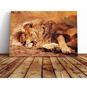 Big Box Art Resting Lion Canvas Print Gallery Wrapped 30mm Frame Wall Art 20x14 inches Ready to Hang Modern Animals Picture Living Room Bedroom Lounge Office Big Box Art Resting Lion Canvas Print Gallery Wrapped 30mm Frame Wall Art 20x14 inches Ready to Hang Modern Animals Picture Living Room Bedroom Lounge Office