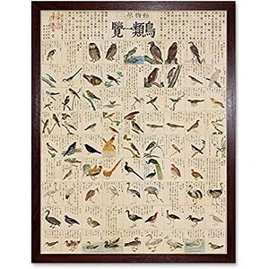 Artery8 Kato Chikusai Species of Birds Japanese Unframed Wall Art Print Poster Home Decor Premium Artery8 Kato Chikusai Species of Birds Japanese Unframed Wall Art Print Poster Home Decor Premium
