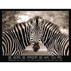 Wee Blue Coo Be Weird Random Zebra Quote Motivation Typography Art Print Poster Wall Decor 12X16 Inch Wee Blue Coo Be Weird Random Zebra Quote Motivation Typography Art Print Poster Wall Decor 12X16 Inch