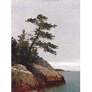 Fine Art Prints Kensett Old Pine Tree Darien Connecticut Landscape Painting Unframed Wall Art Print Poster Home Decor Premium Fine Art Prints Kensett Old Pine Tree Darien Connecticut Landscape Painting Unframed Wall Art Print Poster Home Decor Premium