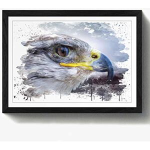 Arty Pie Framed Print Black A2 (24.5x18 Inch) Falcon Bird (2) V3, Wood, Multi-Colour, 60 x 42 x 2 cm Arty Pie Framed Print Black A2 (24.5x18 Inch) Falcon Bird (2) V3, Wood, Multi-Colour, 60 x 42 x 2 cm