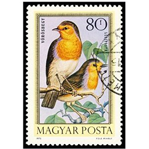 Wee Blue Coo Postage Stamp Hungary 80 Forint Robin Bird New Wall Art Print Wee Blue Coo Postage Stamp Hungary 80 Forint Robin Bird New Wall Art Print