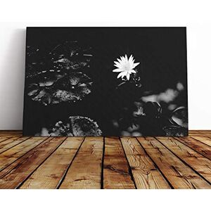 Big Box Art Canvas Print Wall Art White Water Lily Flower Mounted and Stretched Box Frame Picture Home Decor for Kitchen, Living, Dining Room, Bedroom, Hallway, Multi-Colour, 30x20 Inch Big Box Art Canvas Print Wall Art White Water Lily Flower Mounted and Stretched Box Frame Picture Home Decor for Kitchen, Living, Dining Room, Bedroom, Hallway, Multi-Colour, 30x20 Inch