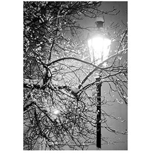 Wee Blue Coo Lonely Street Lamp Winter Night Black White Photo Picture Wall Art Print Wee Blue Coo Lonely Street Lamp Winter Night Black White Photo Picture Wall Art Print